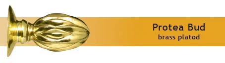 Protea Bud - 2